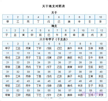 地支表|天干地支对照表